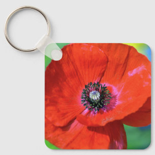 Red Poppy in the Sunshine Photograph Keychain Nyckelring