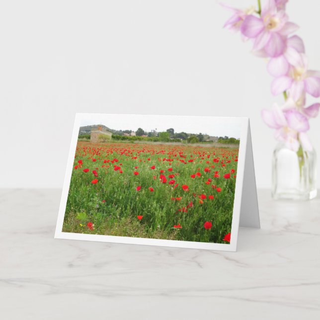 Red Poppy Land liggande kort (Orkide)
