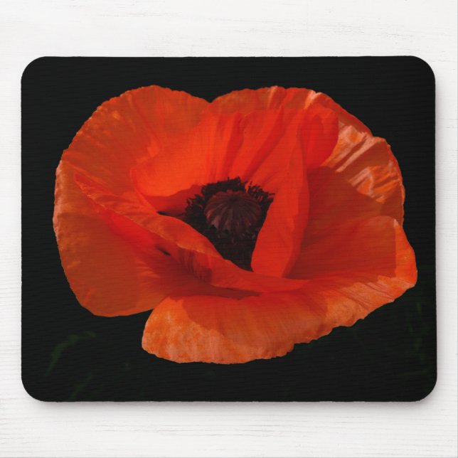 Red Poppy Macro Musmatta (Framsidan)