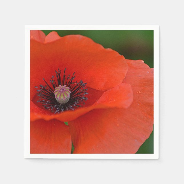 Red Poppy Napkin Pappersservett (Framsidan)