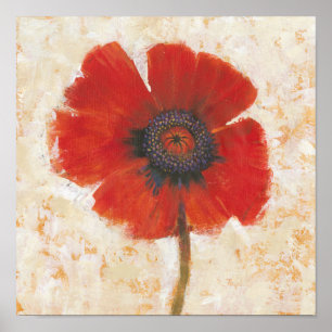 Red Poppy Porträtt Poster