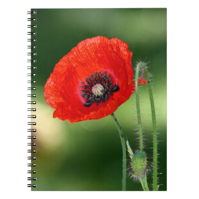 Red Poppy Seed Photo Notebook Anteckningsbok (Framsidan)