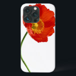 Red Poppy Simpity<br><div class="desc">En röd vallmoblomma,  ögonlockande gåva till vallmo älskare. Andra produkter söker under samma rubrik "Poppy Simpity". Tack.</div>