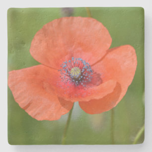 Red Poppy Stenunderlägg