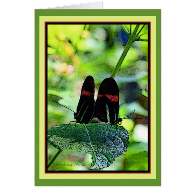 Red Postman: Butterfly Hälsningskort (Framsidan)