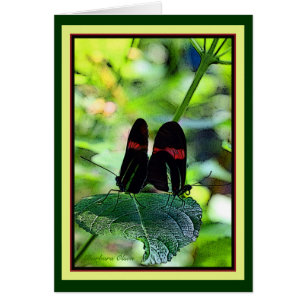 Red Postman: Butterfly Hälsningskort