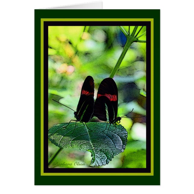 Red Postman: Butterfly Hälsningskort (Framsidan)