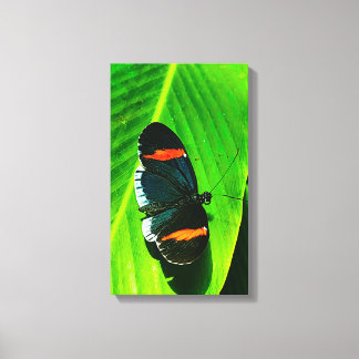 Red Postman Canvastryck