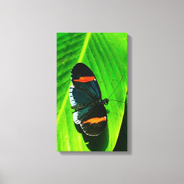 Red Postman Canvastryck (Framsida)