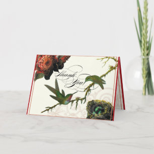 Red Protea Hummingbird - Tackkort Cards