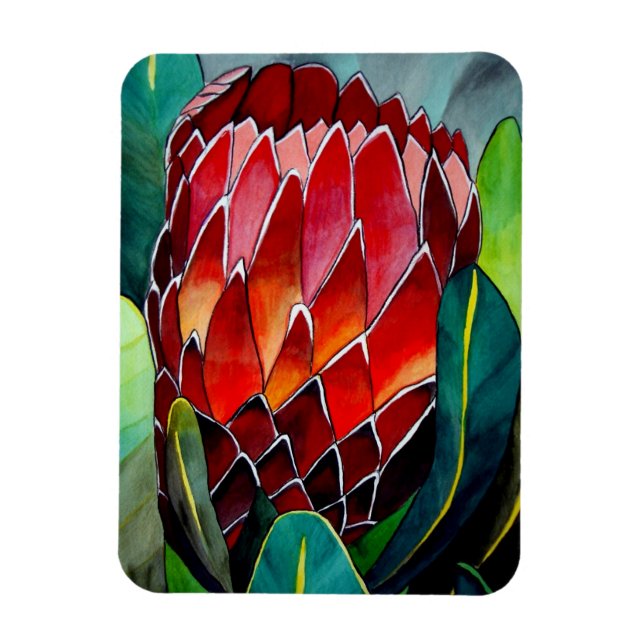 Red Protea vattencolor art blomma Magnet (Vertikal)
