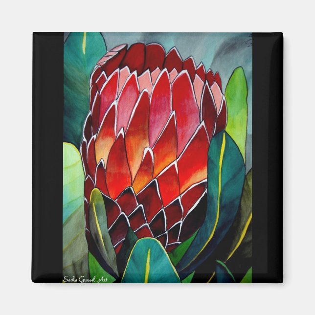 Red Protea vattenfärgsblommor original art Magnet (Framsidan)