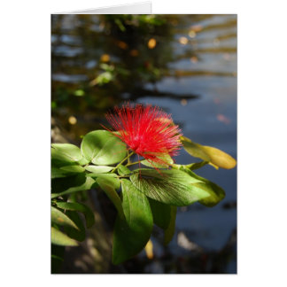 Red Puff Hälsningskort