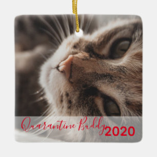 Red Quarantine Buddy Merry Pawsmas Kat jul Julgransprydnad Keramik