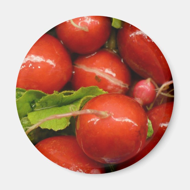 Red Radish Magnet (Framsidan)