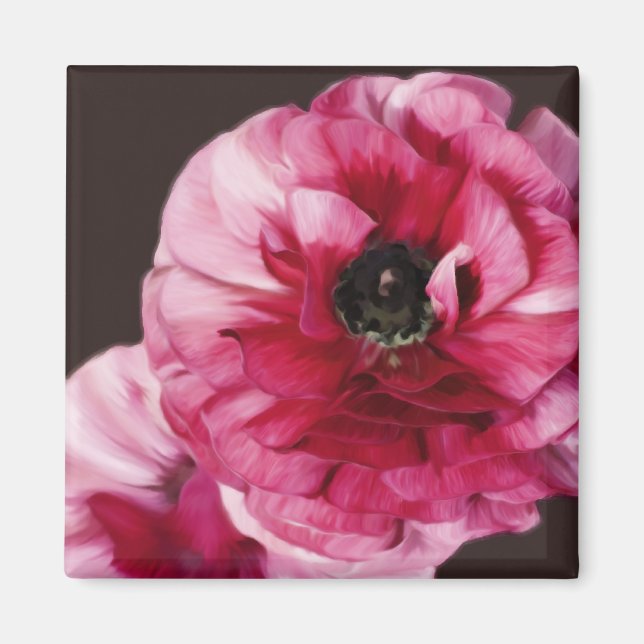 Red Ranunculus Magnet (Framsidan)