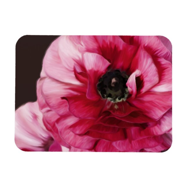 Red Ranunculus Magnet (Horisontell)