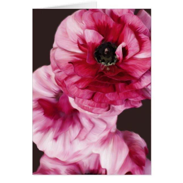 Red Ranunculus OBS Kort (Framsidan)