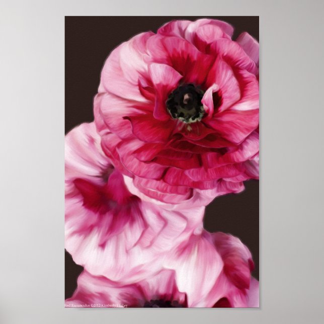 Red Ranunculus Poster (Framsidan)