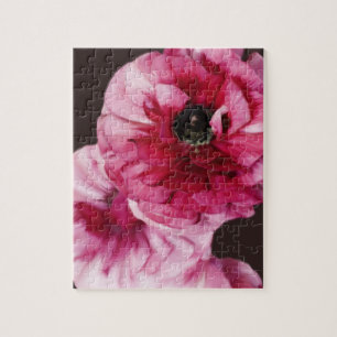 Red Ranunculus Pussel