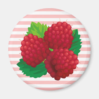 Red Raspbär Magnet