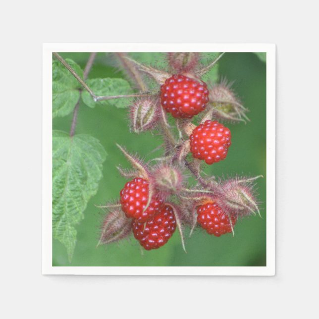 Red Raspbär Pappersservett (Framsidan)