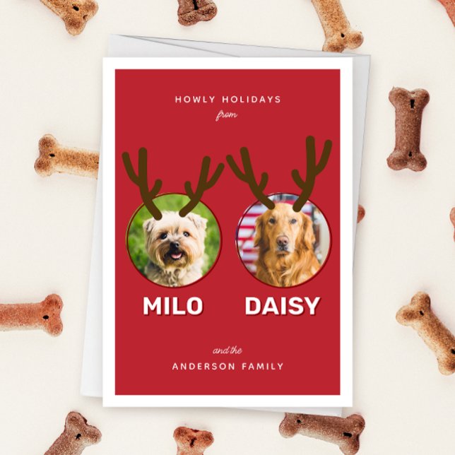 Red Reinpet 2 Photo Pet jul - Helgdag, vikt Helgkort (Folded two photo pet Christmas holiday card with message "Howly Holidays" with two sets of antlers)