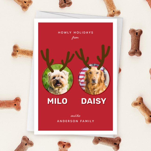 Red Reinpet 2 Photo Pet-julkort, Helgdag Card Julkort (Red two photo pet Christmas holiday card with message "Howly Holidays" with two sets of antlers)