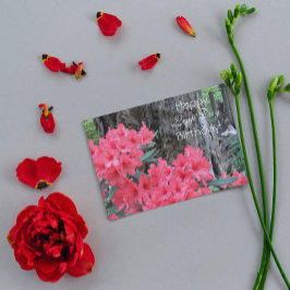 Red Rhododendrons Blommigt Leap Day Birthday Kort