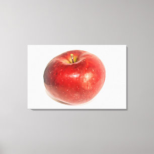 Red Ripe Apple Illustrated Art Canvastryck
