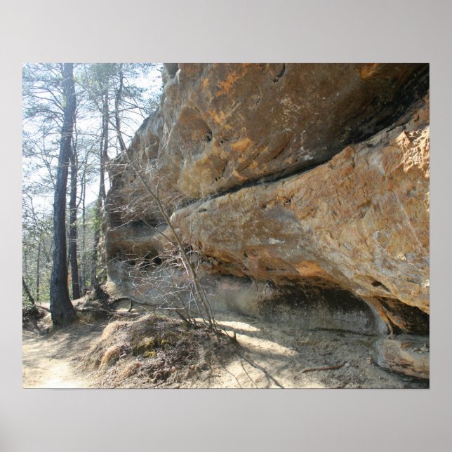 Red River Gorge, KY - Skybridge 2 poster (Framsidan)