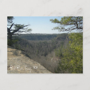 Red River Gorge, KY-vykort Vykort