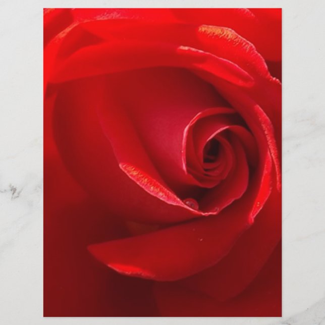 Red-Ro-3.jpg (Framsida)