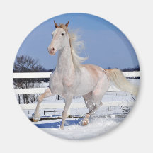 Red Roan i Snö