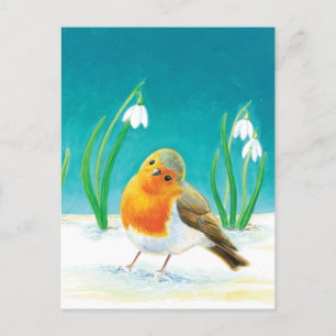 Red Robin Bird (Erithacus rubecula) & Snödroppar Vykort