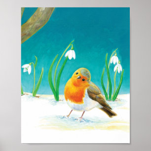 Red Robin Bird Illustration Poster
