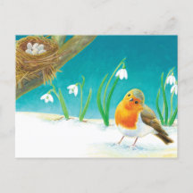 Red Robin Bird & snowdrops Illustration