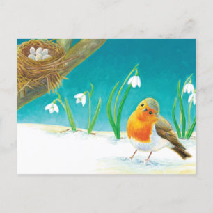 Red Robin Bird & snowdrops Illustration Vykort