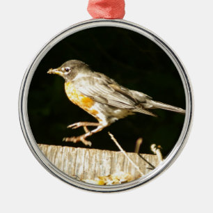 Red Robin Bobbin Julgransprydnad Metall