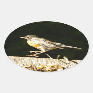 Red Robin Bobbin Ovalt Klistermärke