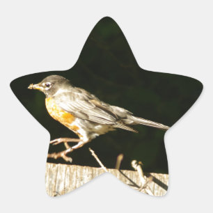 Red Robin Bobbin Stjärnformat Klistermärke
