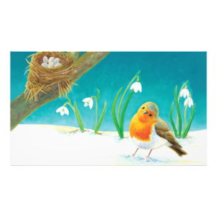 Red Robin Illustration Fototryck