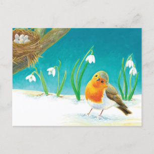 Red Robin Illustration Meddelande Vykort