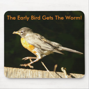 Red Robin Musmatta