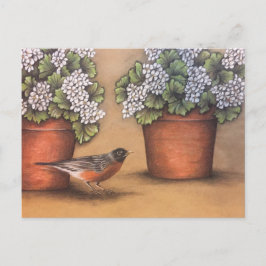 Red Robin och White Geraniums Vykort