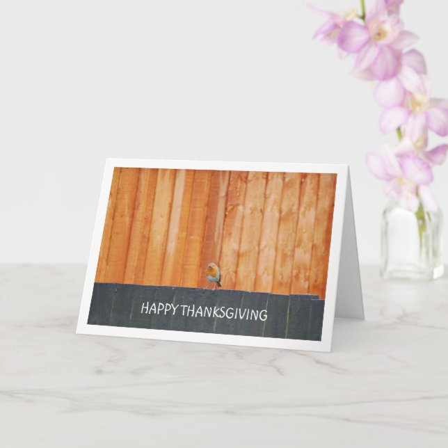 Red Robin On Fence Kort (Orkide)