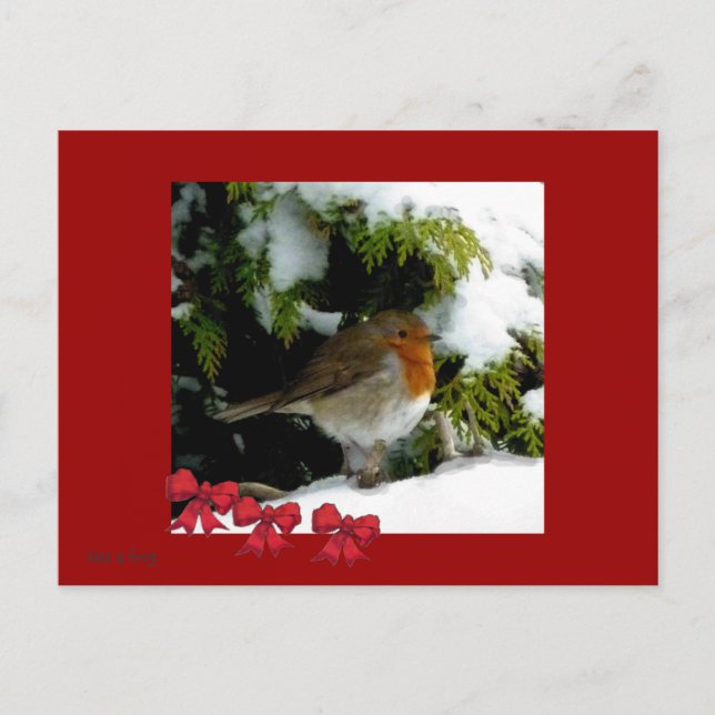 Red Robin Postcard Vykort (Framsida)