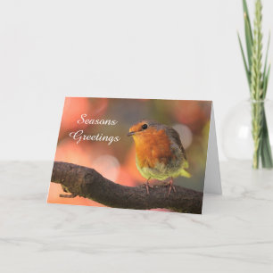 Red Robin Seasons Hälsning Helgkort