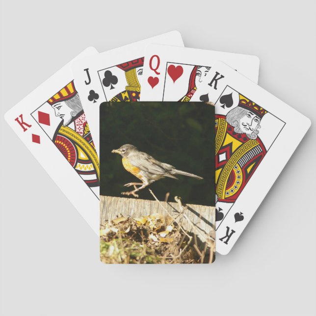 Red Robin Spelkort (Baksidan)