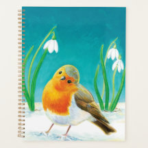 Red Robin Tidigt Vår Snowdrops Illustration